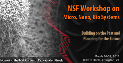 NSF Workshop 2012
